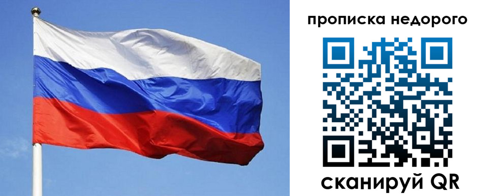 прописка для школы в Кольчугино