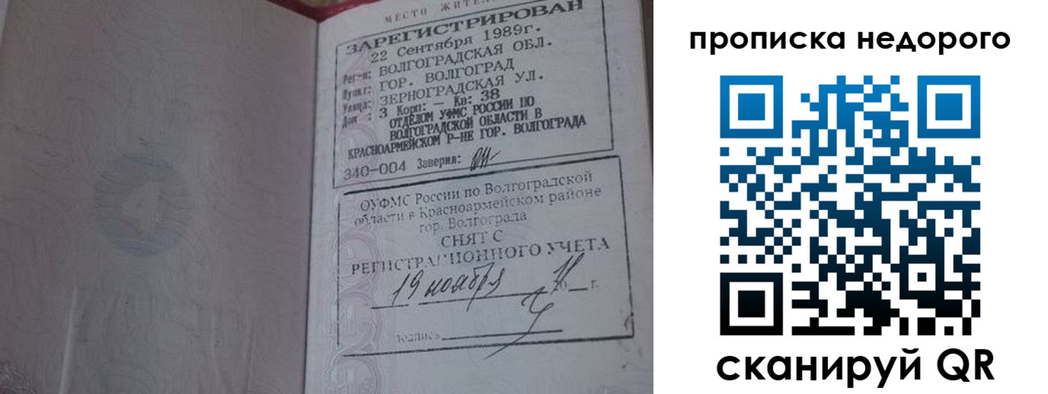 прописка гарантия в Кольчугино
